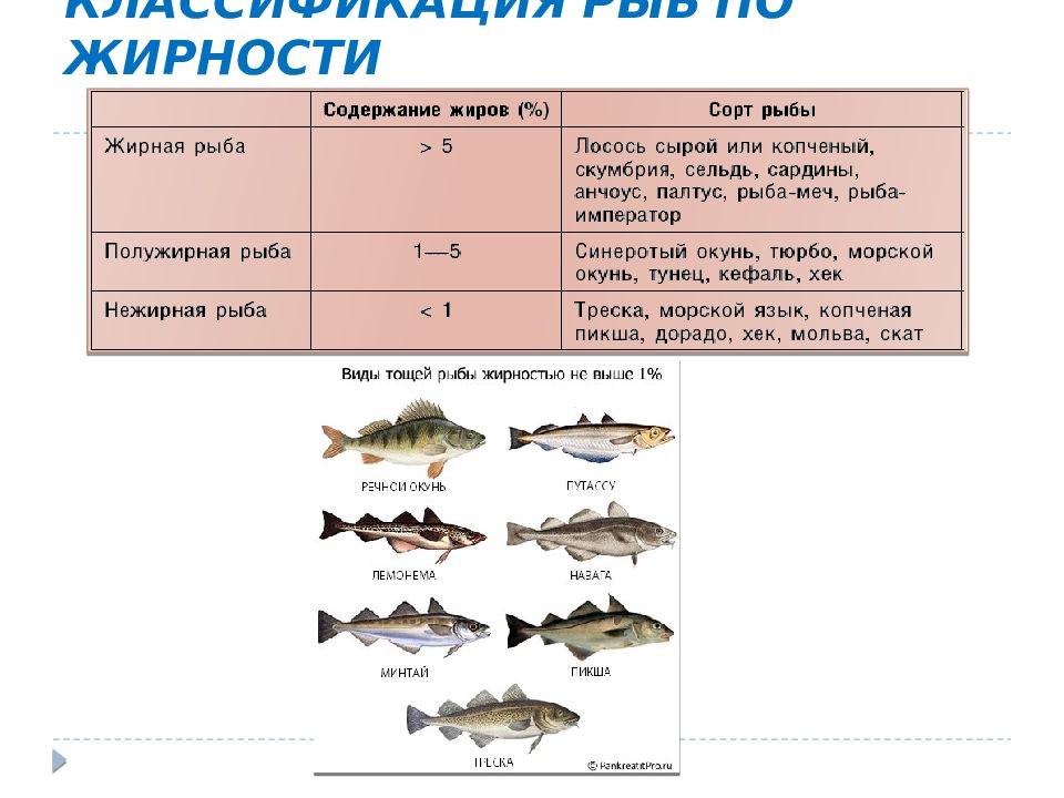 Нежирные Сорта Рыбы Для Диеты Список