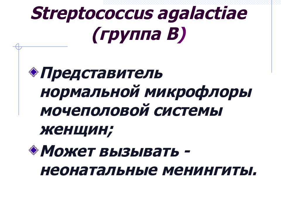 Streptococcus agalactiae (группа В )