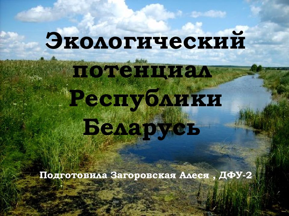 Контрольная работа по теме Экологический потенциал Республики Беларусь