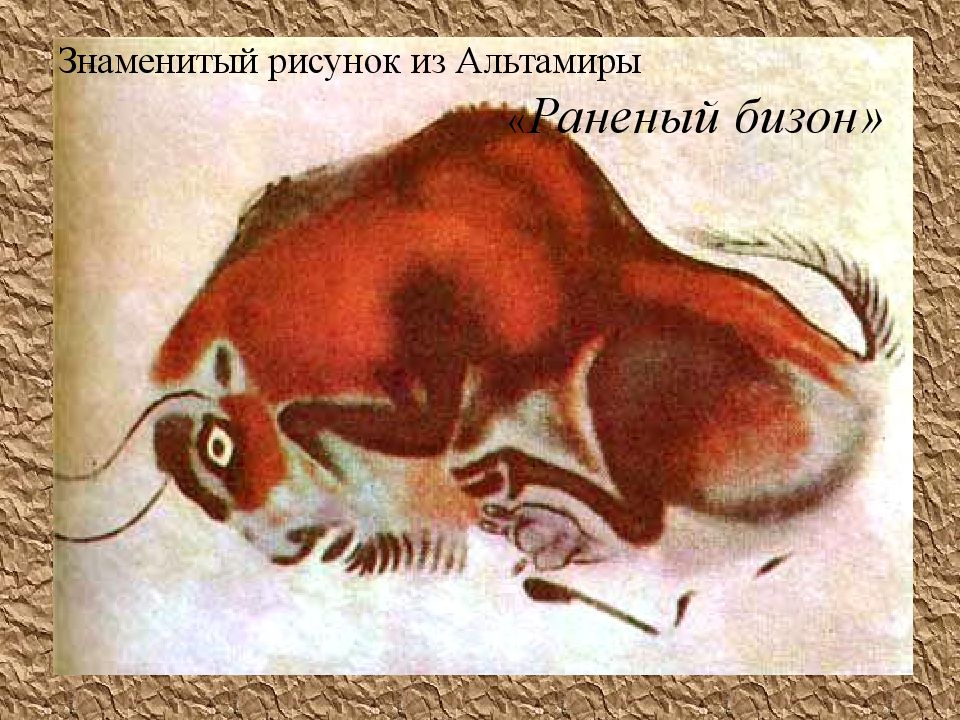 Знаменитый рисунок из Альтамиры « Раненый бизон»
