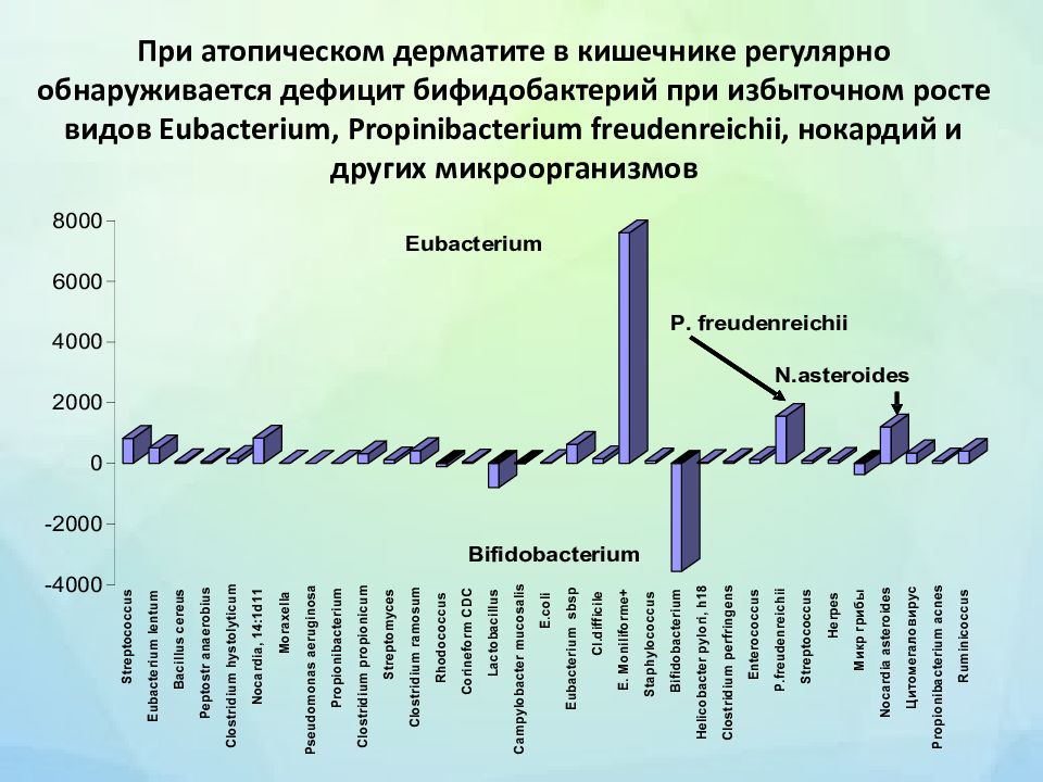 При атопическом дерматите в кишечнике регулярно обнаруживается дефицит бифидобактерий при избыточном росте видов Eubacterium, Propinibacterium freudenreichii,