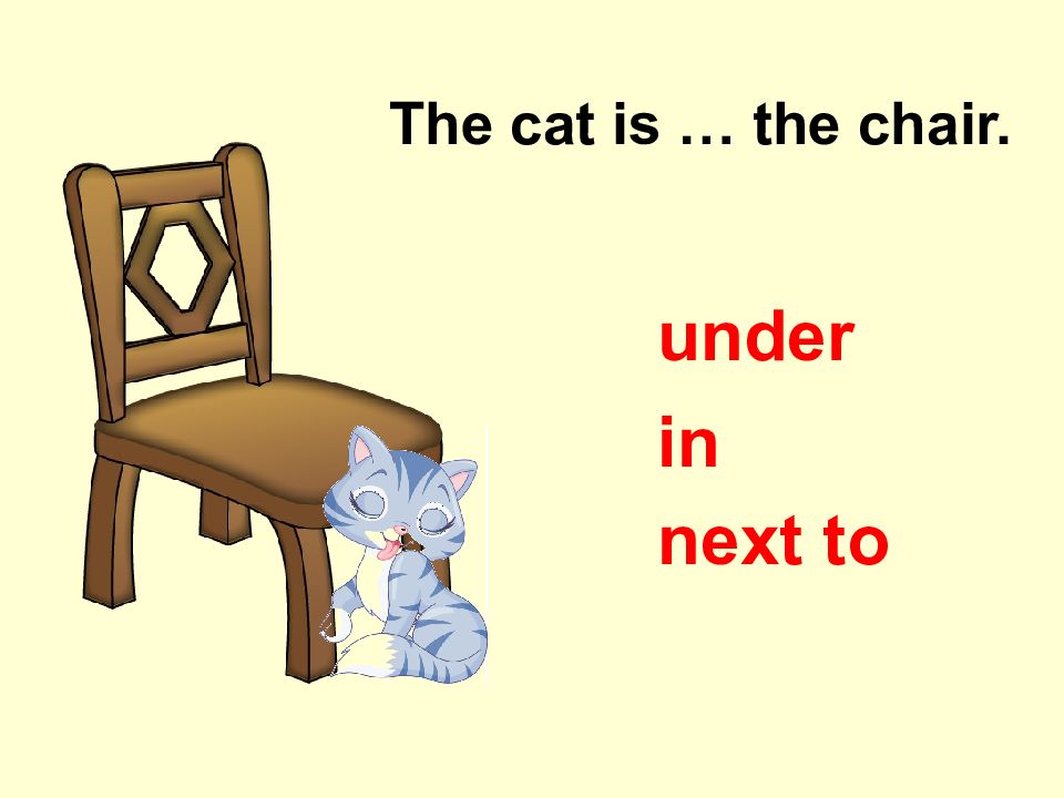 15. The cat is . the chair.in n ext to under. 