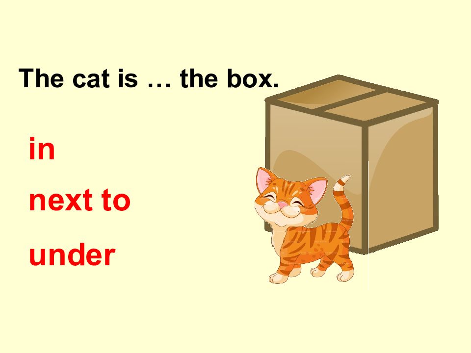 The cat is . the box.in n ext to under. 
