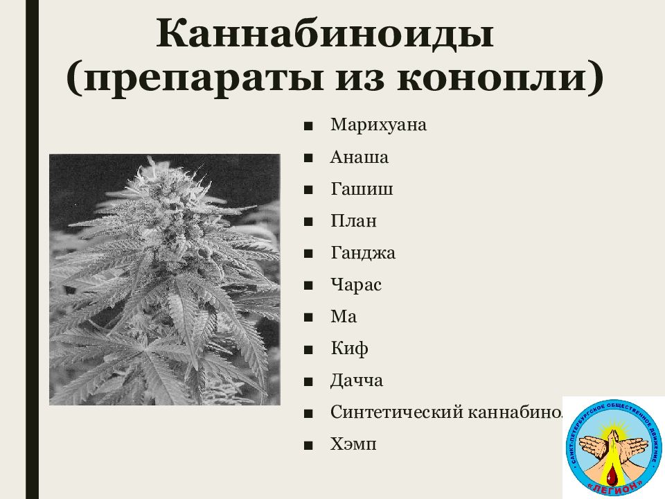 содержание марихуаны в лекарствах
