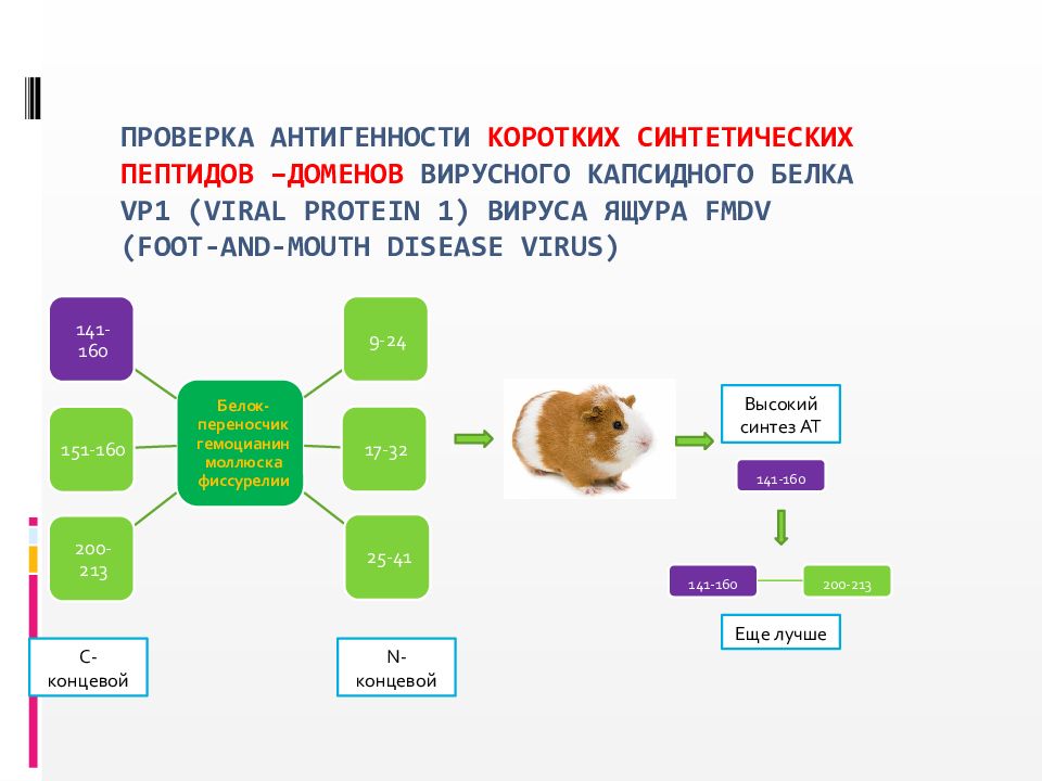 Проверка антигенности коротких синтетических пептидов –доменов вирусного капсидного белка VP1 (viral protein 1) вируса ящура FMDV (foot-and-mouth disease virus)