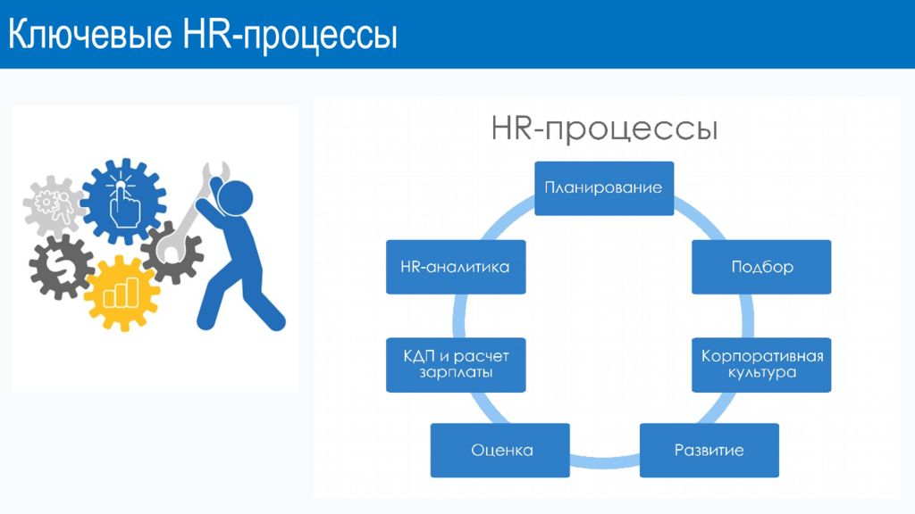 Ключевые HR -процессы. 