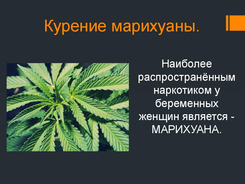 Является ли марихуана наркотиком где купить марихуану в эстонии